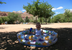 Schuilen voor de hitte