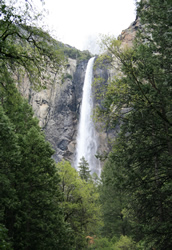 Yosemite National Park