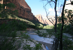 Zion National Park