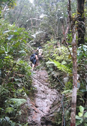 De beklimming van de Pinnacles