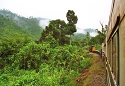 De trein van Tenom naar Beaufort