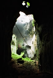 Gomantong Cave