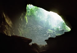 Hof van Eden, Deer Cave