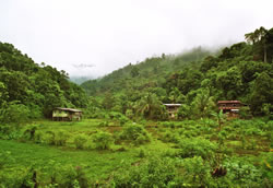 Huisjes langs de treinroute van Tenom naar Beaufort