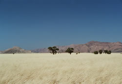 De omgeving van Solitaire