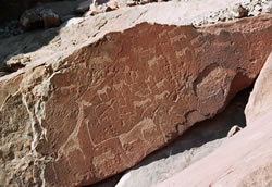 De rotstekeningen bij Twyvelfontein