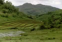 Rijstplateaus tijdens de trekking