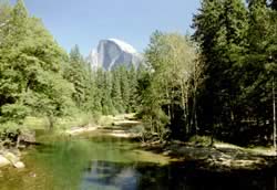 Half Dome in Yosemite National Park