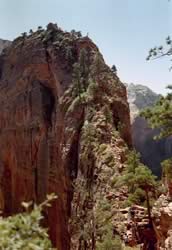 Wandeling Angels Landing in Zion National Park