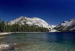 Yosemite National Park